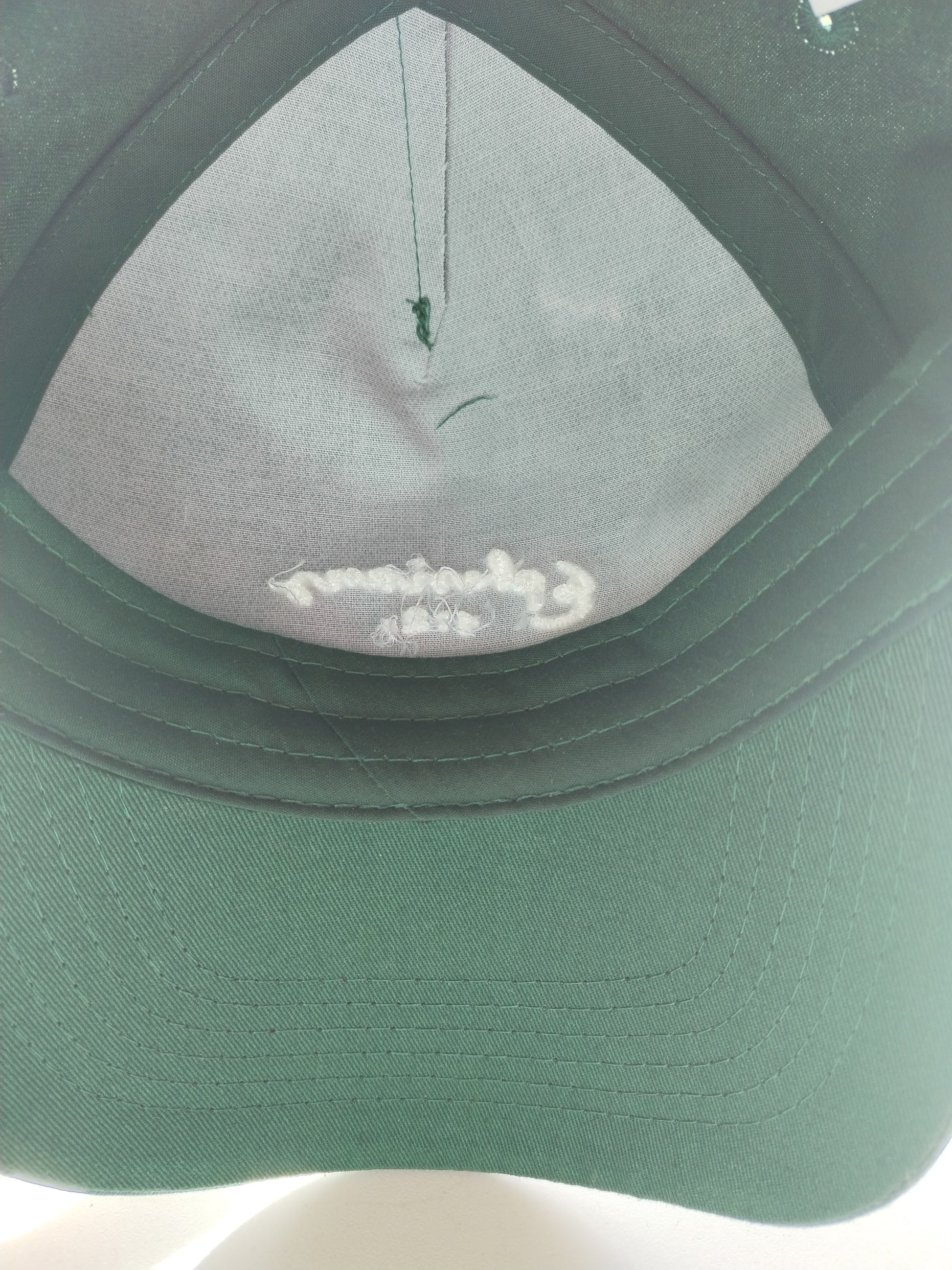 5 panel hat green embroidery